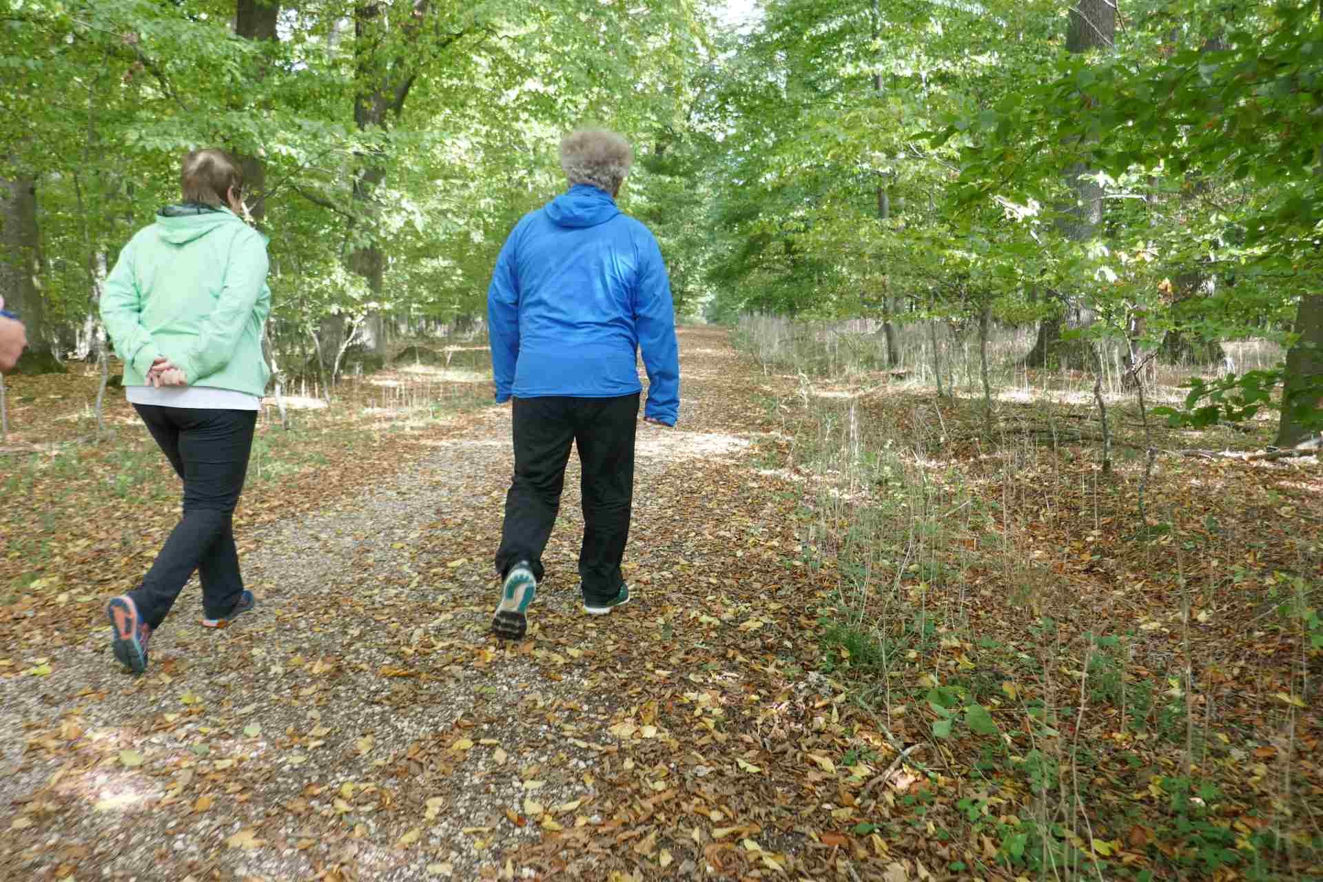 10 Oktober -  rund um den Lippacher Stausee